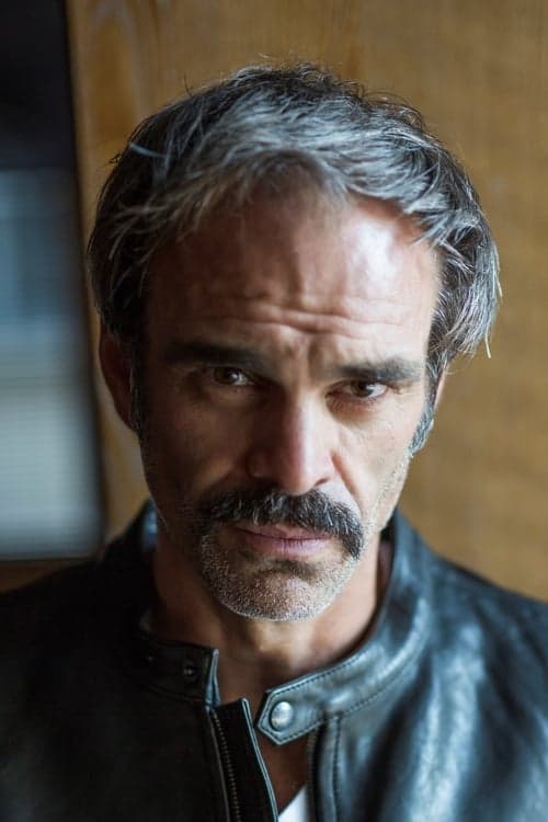Steven Ogg image