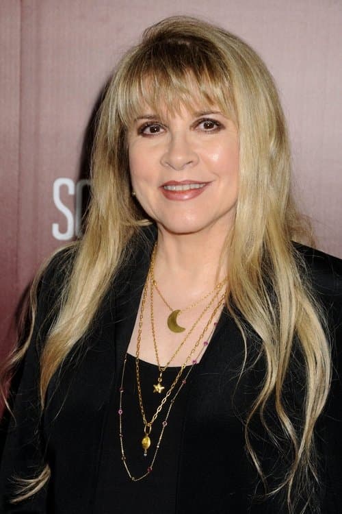 Stevie Nicks image