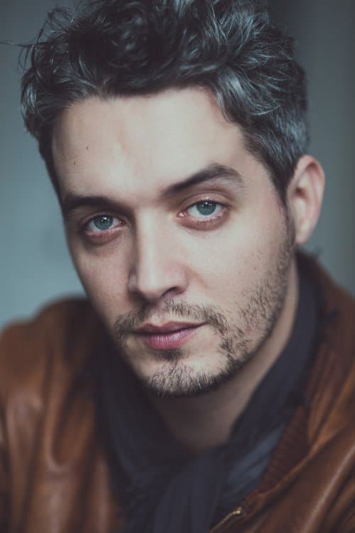 Sylvain Dieuaide image