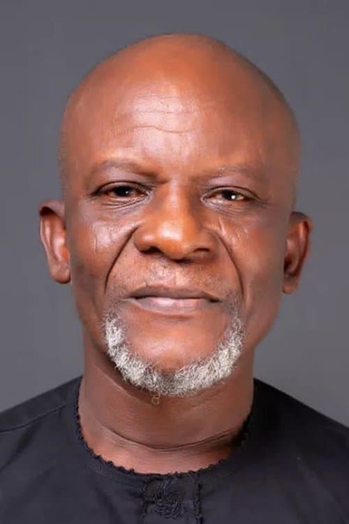 Toyin Oshinaike image