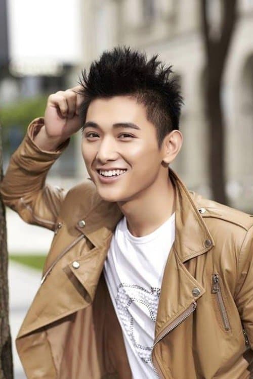 Wang Wenjie image