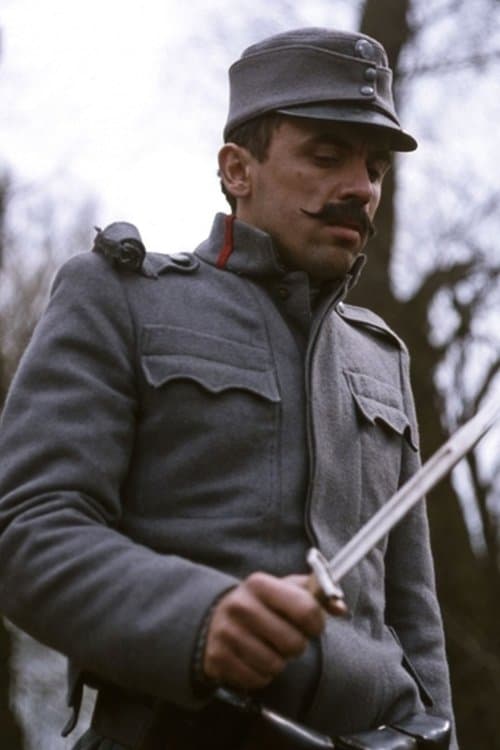 Zoltán Bezerédy image